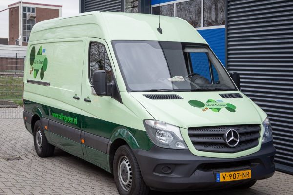 creaza-allingreen-5914